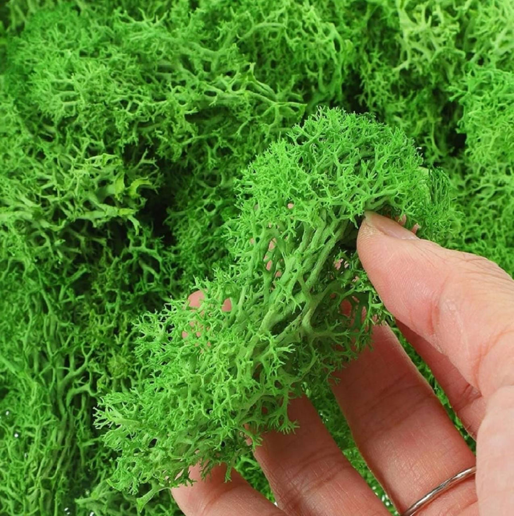 Preserved Moss Wall Art: Handmade Rustic Greenery Decor (80x150cm)