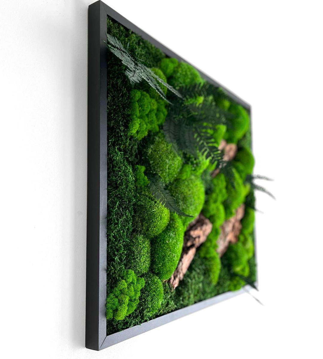 Preserved Moss Wall Art: Handmade Rustic Greenery Decor (50x60cm)