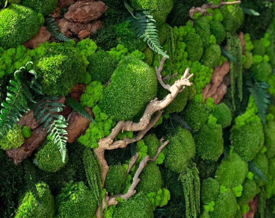 Preserved Moss Wall Art: Handmade Rustic Greenery Decor (80x150cm)