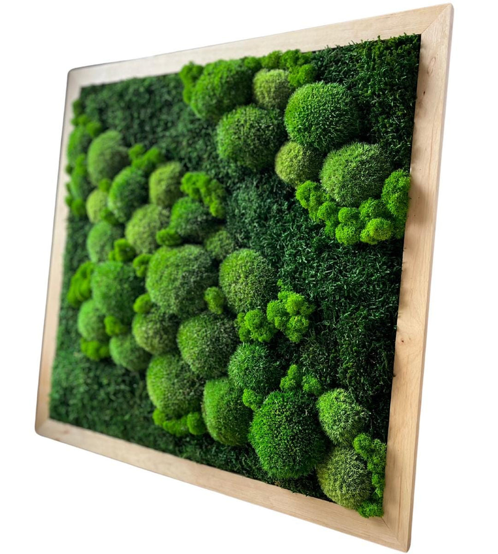 Preserved Moss Wall Art: Handmade Rustic Greenery Decor (50x50cm)