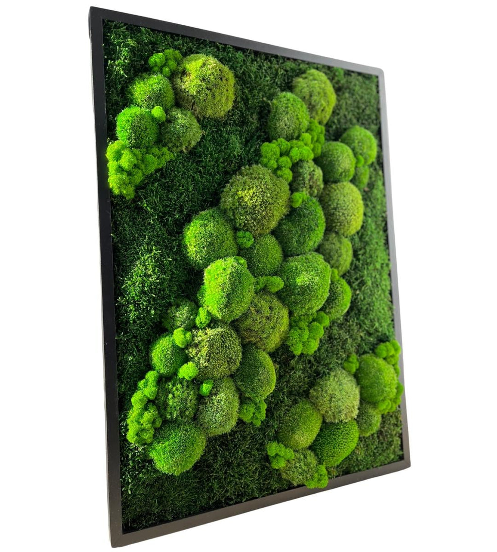 Preserved Moss Wall Art: Handmade Rustic Greenery Decor (50x70cm)