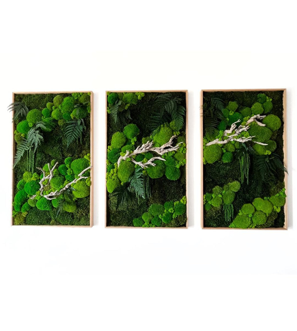 Preserved Moss Wall Art: Handmade Rustic Greenery Decor (60x100cm) Set of 3 pcs