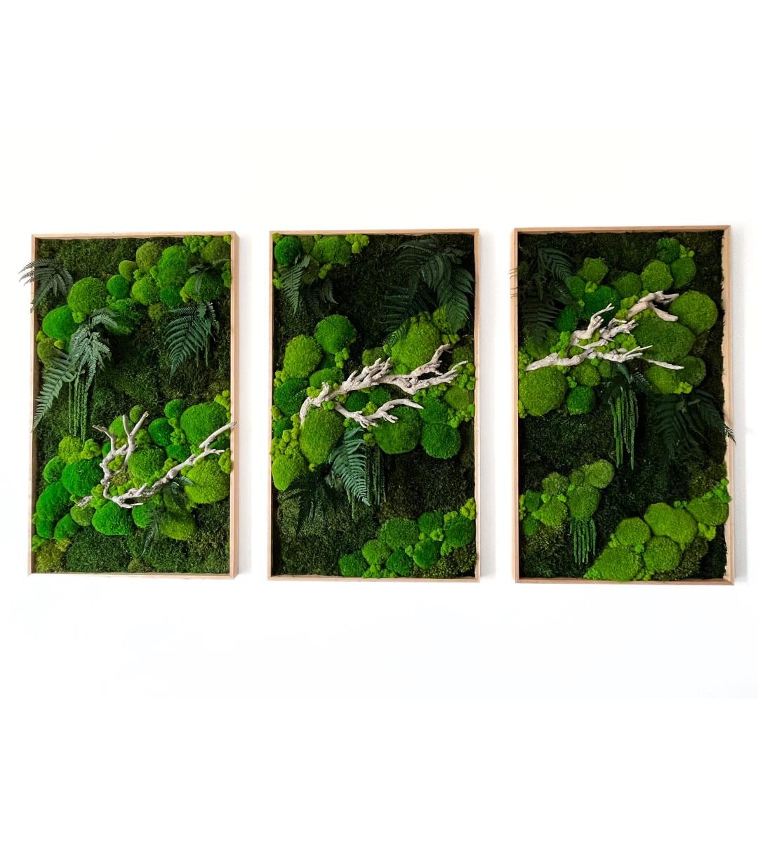 Preserved Moss Wall Art: Handmade Rustic Greenery Decor (60x100cm) Set of 3 pcs