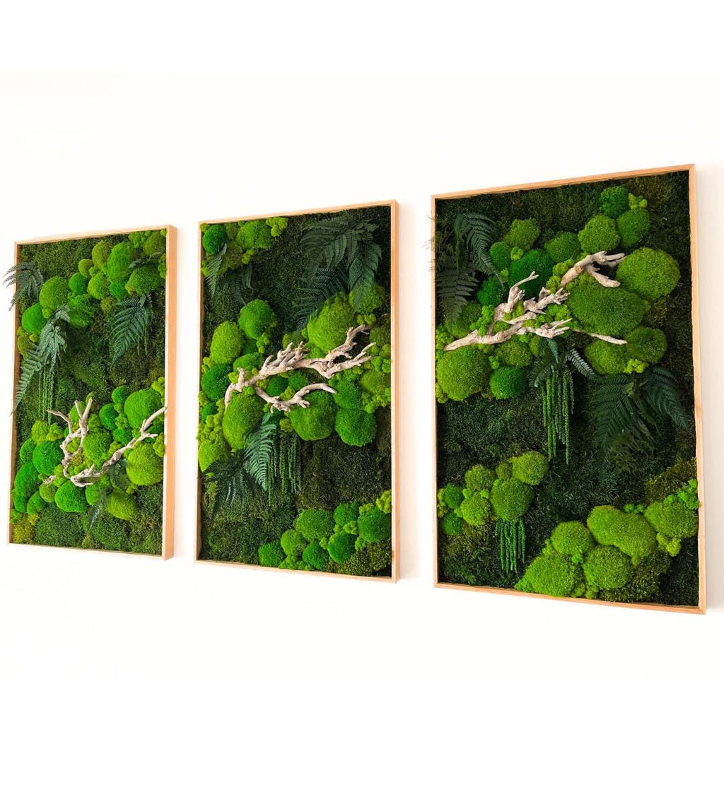 Preserved Moss Wall Art: Handmade Rustic Greenery Decor (60x100cm) Set of 3 pcs