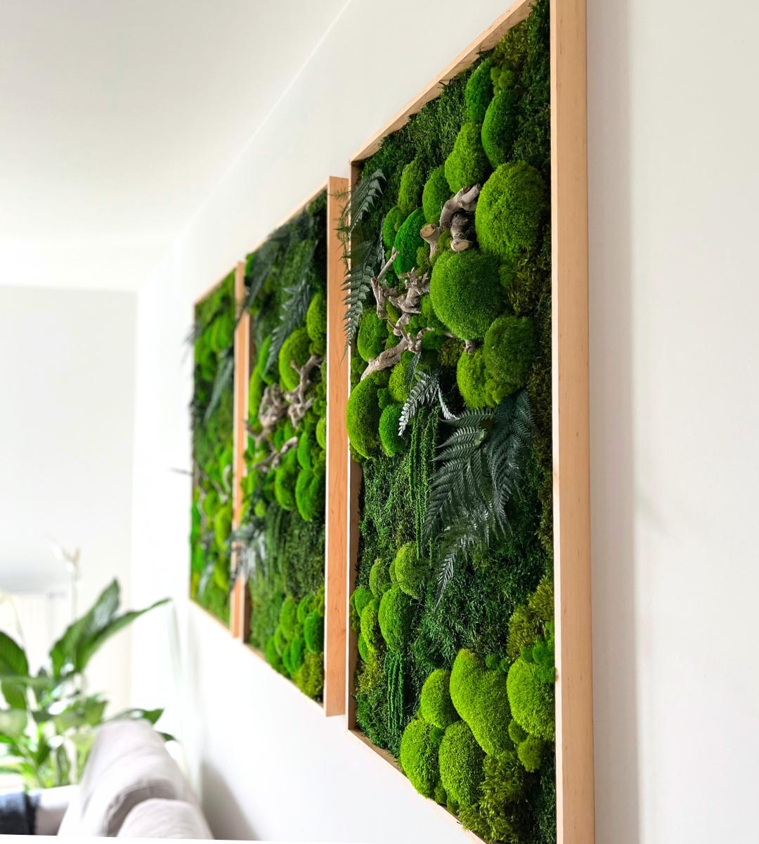 Preserved Moss Wall Art: Handmade Rustic Greenery Decor (60x100cm) Set of 3 pcs