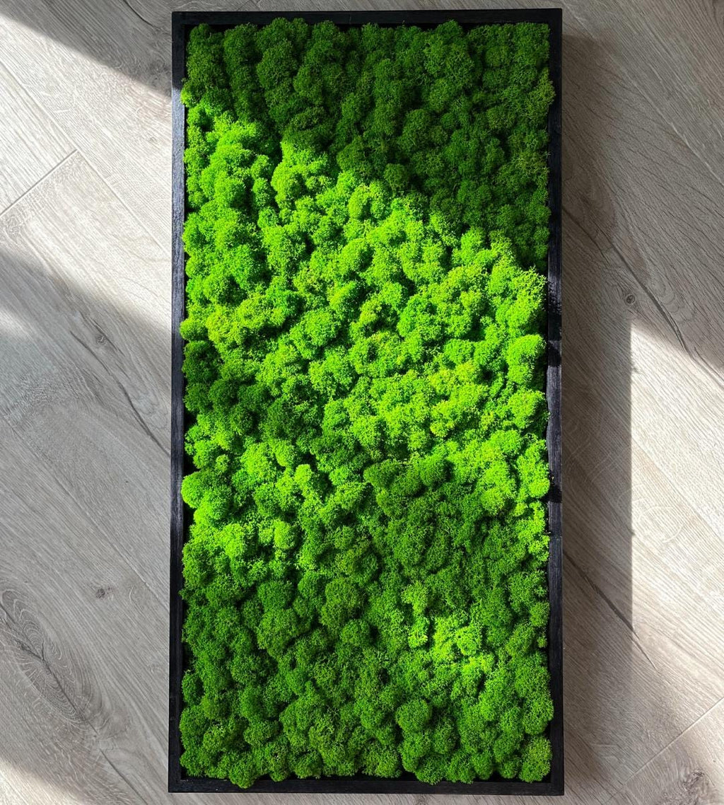 Preserved Painting with lichen Wall Art: Handmade Rustic Greenery Decor (30x80cm)
