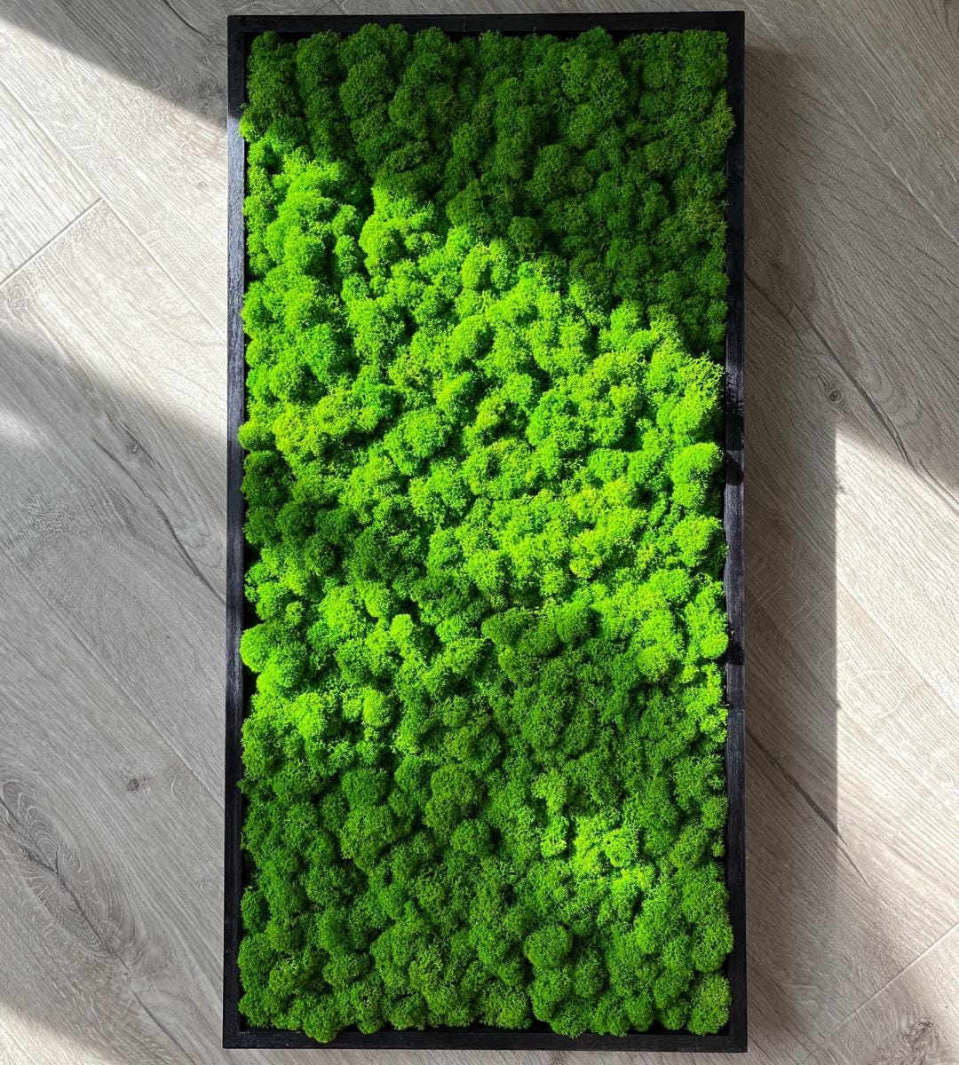 Preserved Painting with lichen Wall Art: Handmade Rustic Greenery Decor (30x80cm)