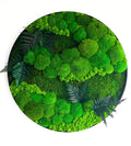 Preserved Moss Wall Art: Handmade Rustic Greenery Decor (60 or 80cm)