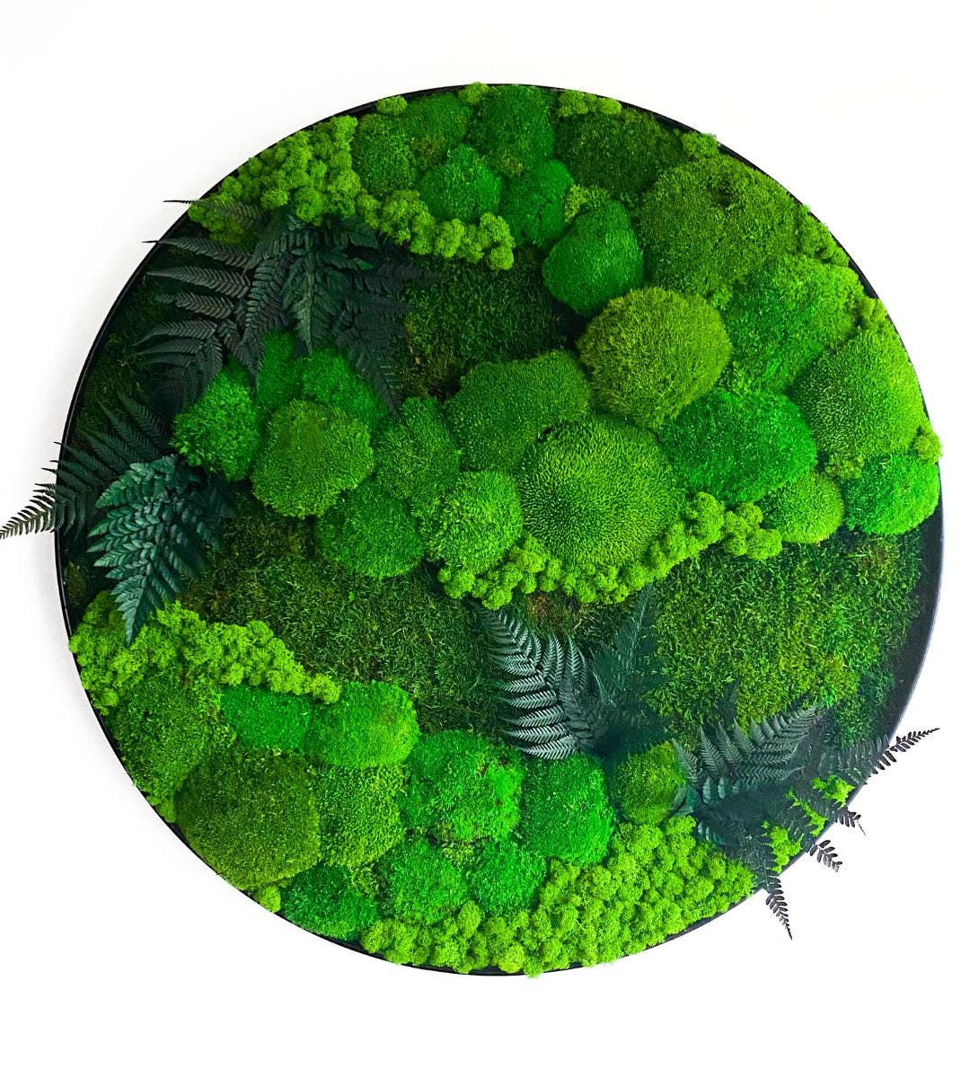 Preserved Moss Wall Art: Handmade Rustic Greenery Decor (60 or 80cm)