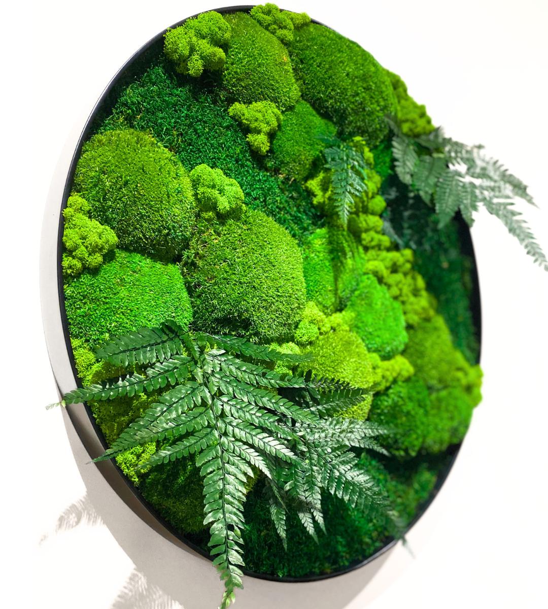 Preserved Moss Wall Art: Handmade Rustic Greenery Decor (60 or 80cm)