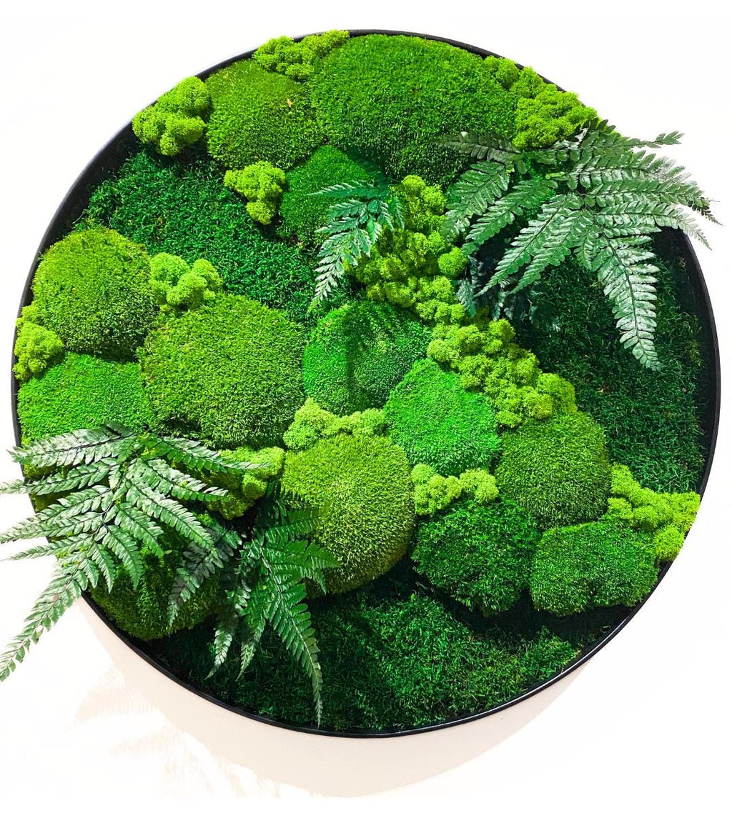 Preserved Moss Wall Art: Handmade Rustic Greenery Decor (60 or 80cm)