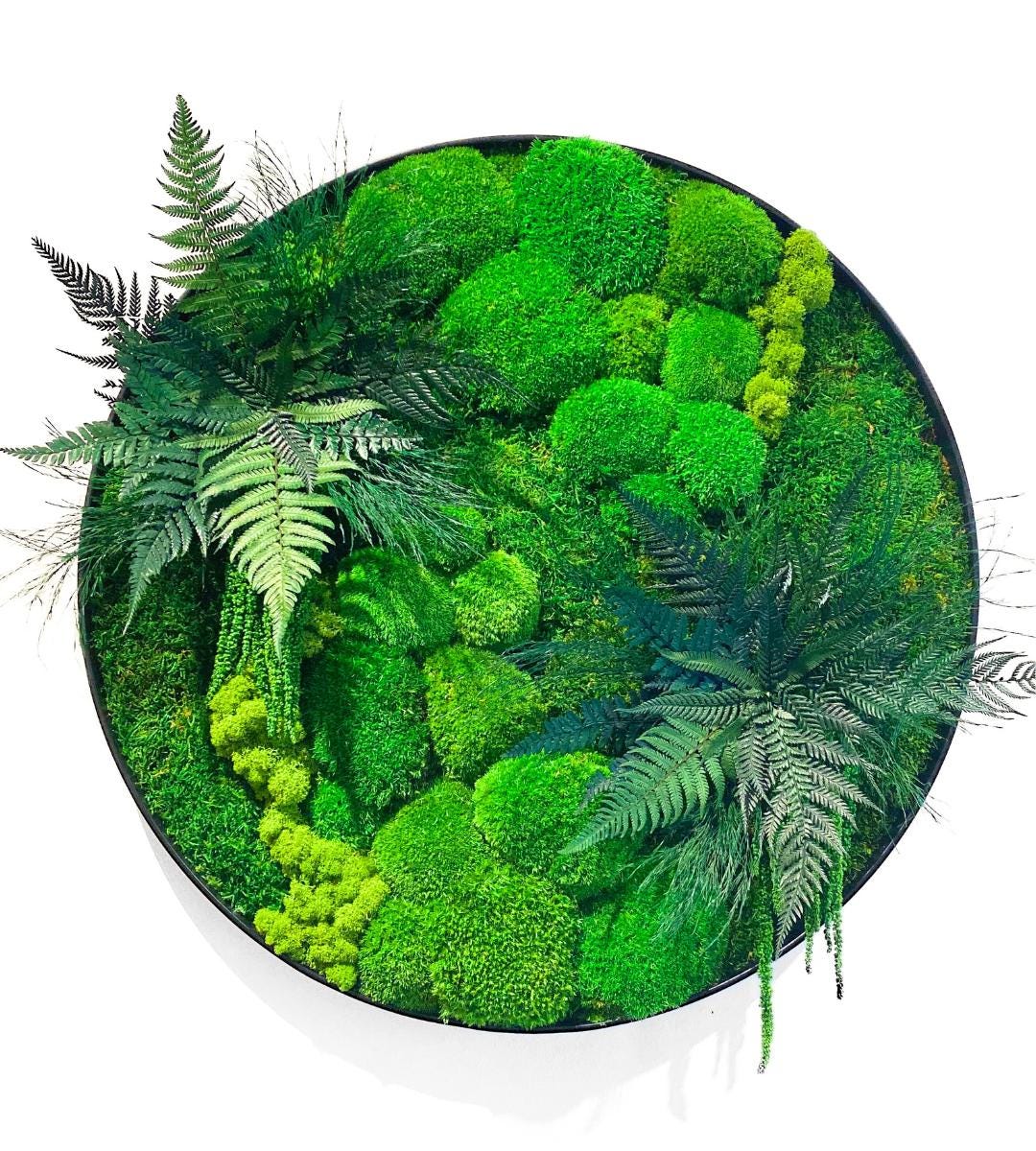 Preserved Moss Wall Art: Handmade Rustic Greenery Decor (60 or 80cm)