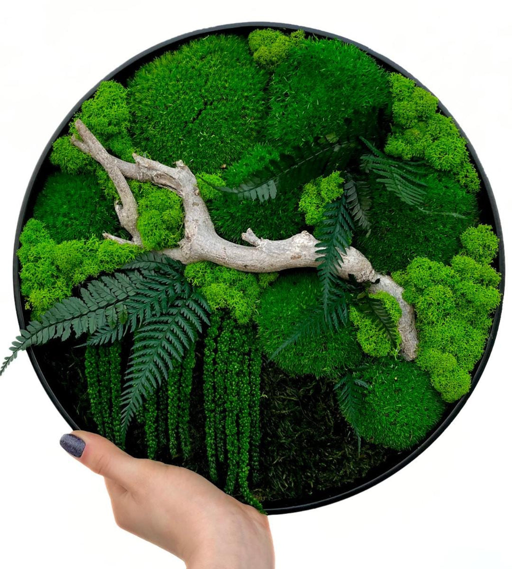 Preserved Moss Wall Art: Handmade Rustic Greenery Decor (30 or 40cm)
