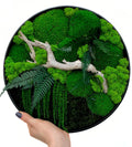 Preserved Moss Wall Art: Handmade Rustic Greenery Decor (30 or 40cm)