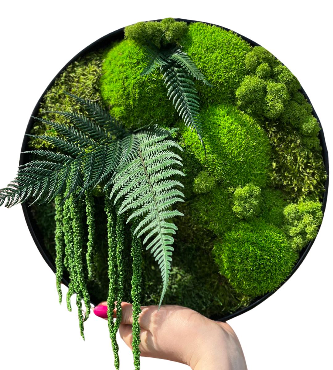 Preserved Moss Wall Art: Handmade Rustic Greenery Decor (30 or 40cm)