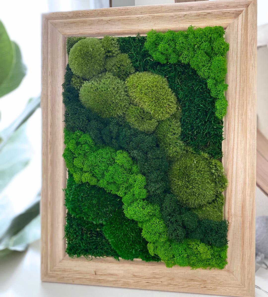 Preserved Moss Wall Art: Handmade Rustic Greenery Decor
