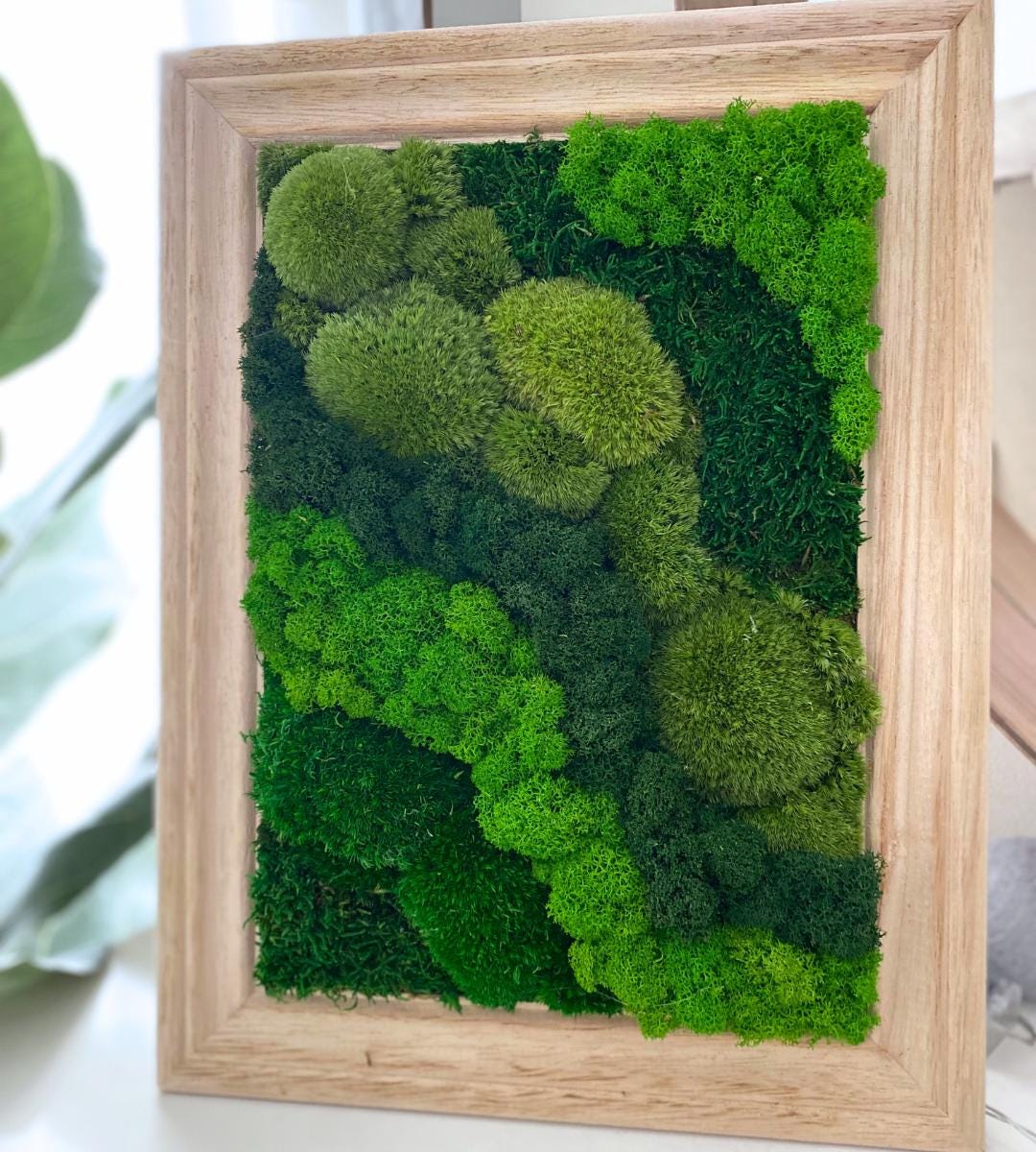 Preserved Moss Wall Art: Handmade Rustic Greenery Decor