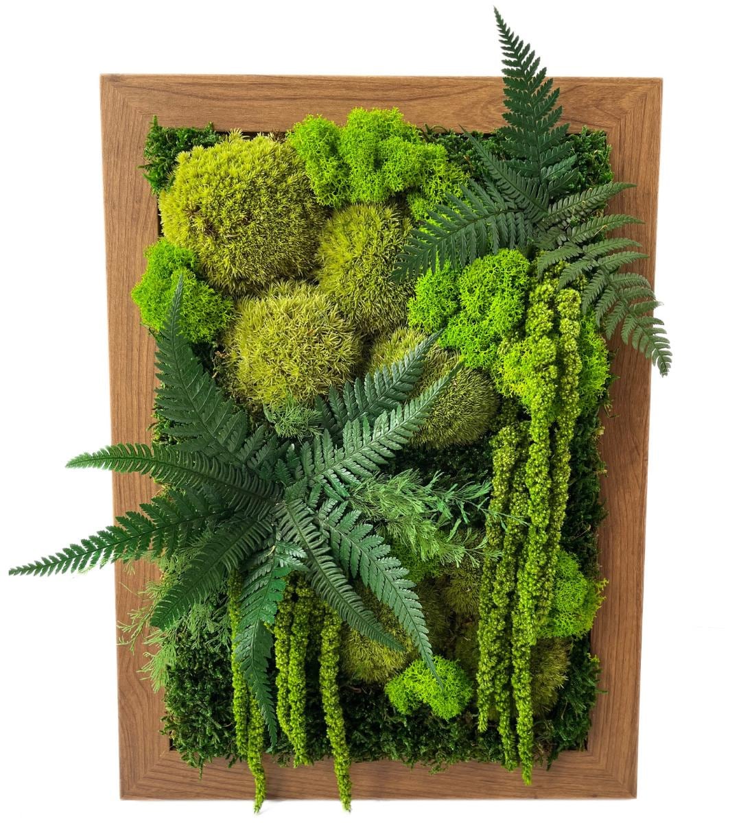 Preserved Moss Wall Art: Handmade Rustic Greenery Decor