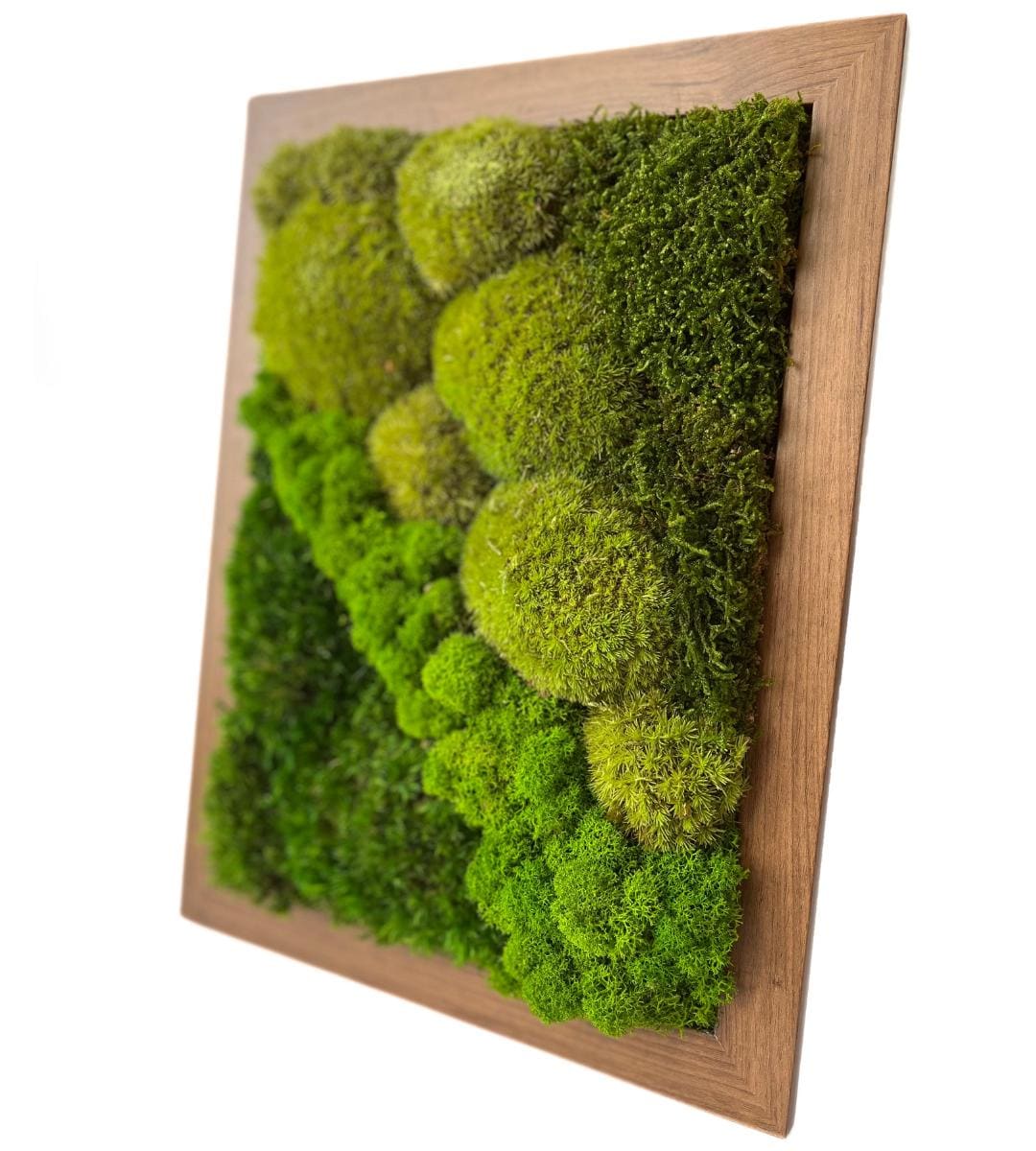 Preserved Moss Wall Art: Handmade Rustic Greenery Decor