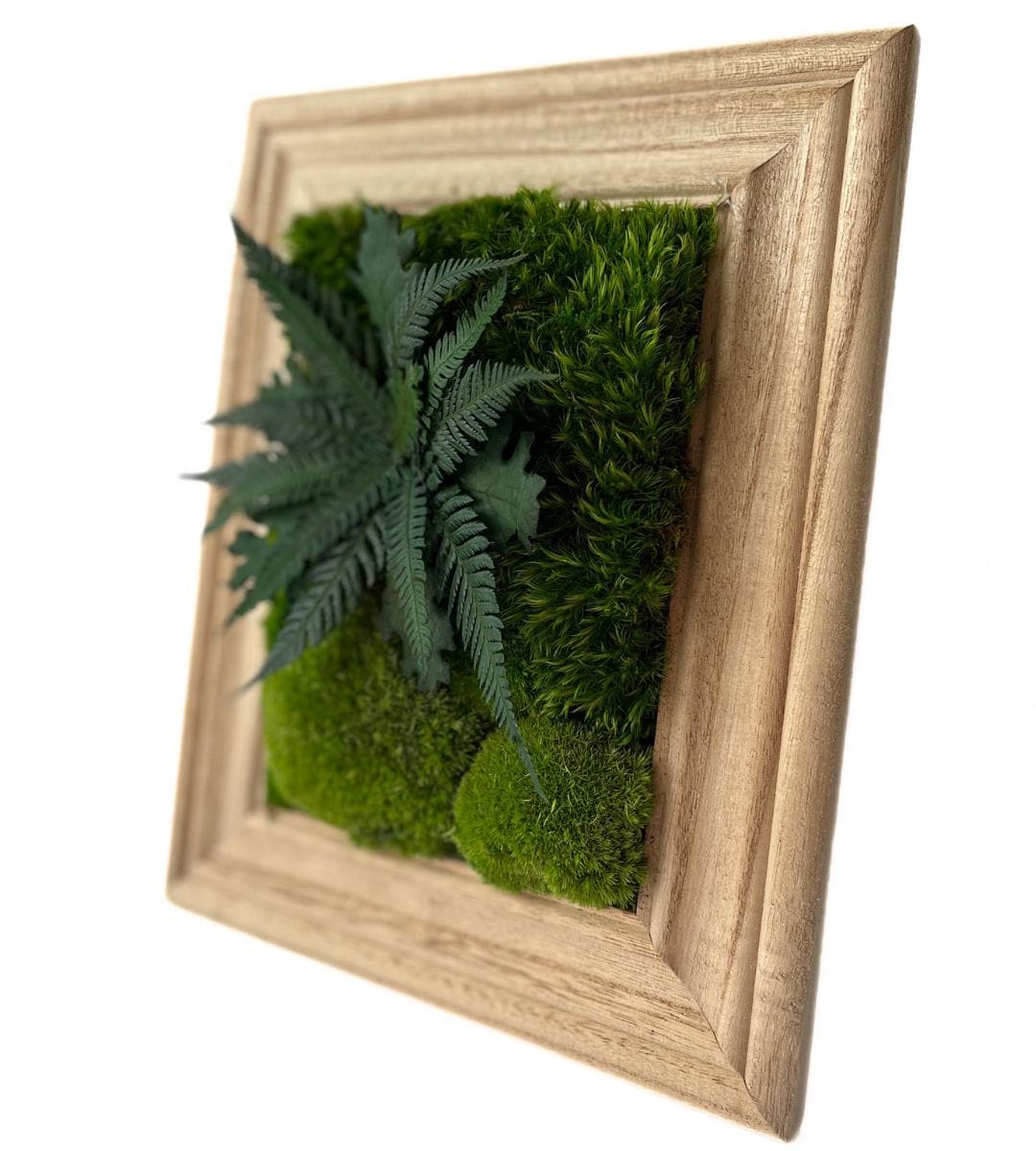 Preserved Moss Wall Art: Handmade Rustic Greenery Decor