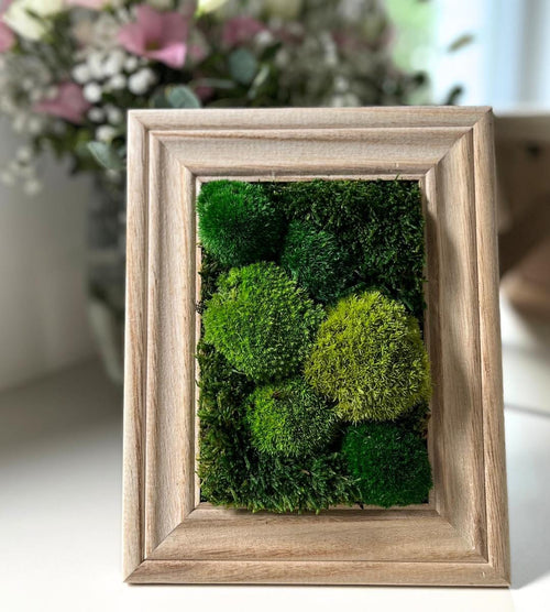 Preserved Moss Wall Art: Handmade Rustic Greenery Decor