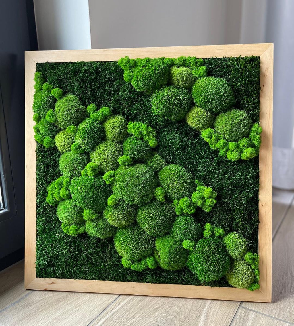 Preserved Moss Wall Art: Handmade Rustic Greenery Decor (50x50cm)
