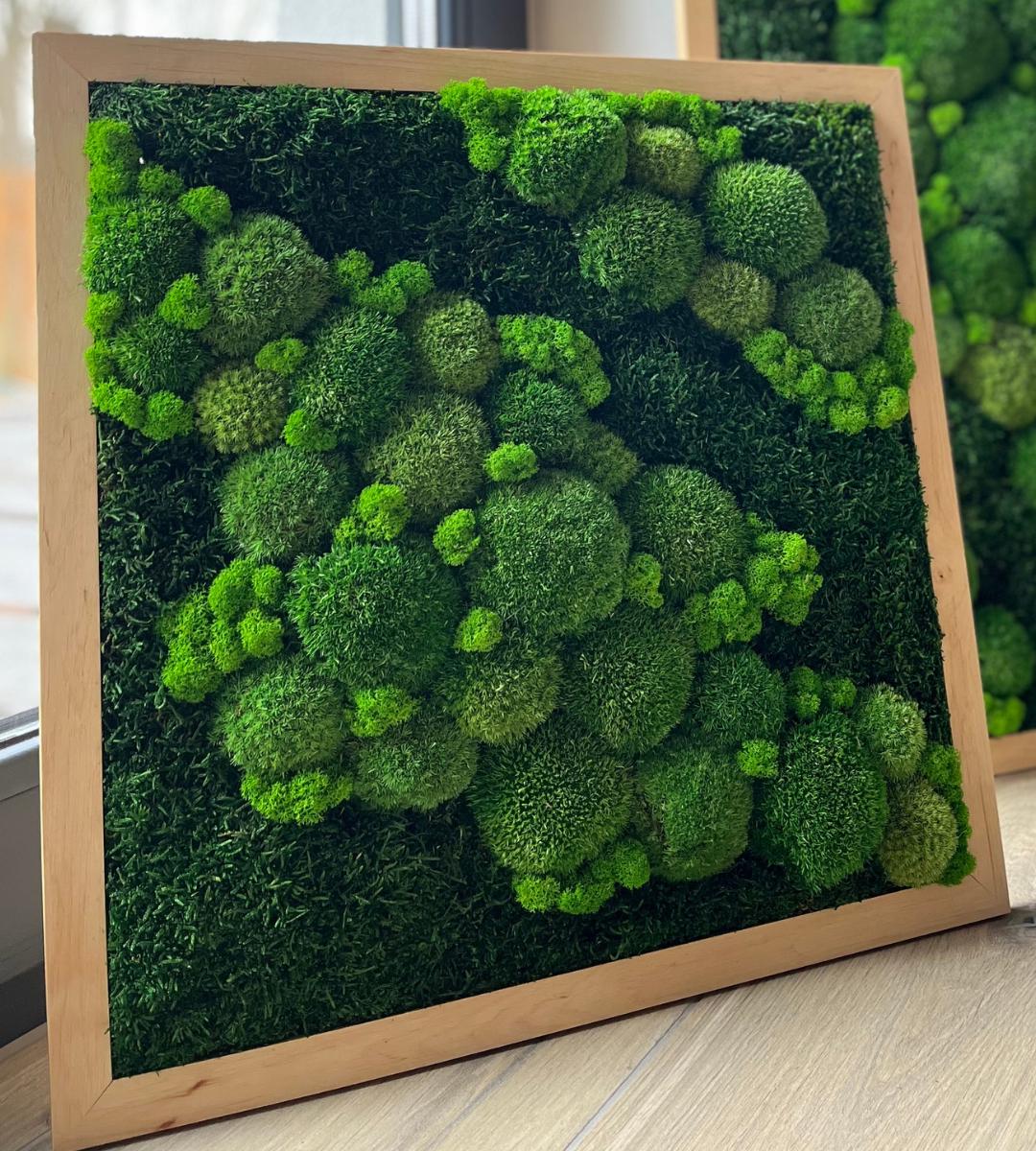 Preserved Moss Wall Art: Handmade Rustic Greenery Decor (50x50cm)