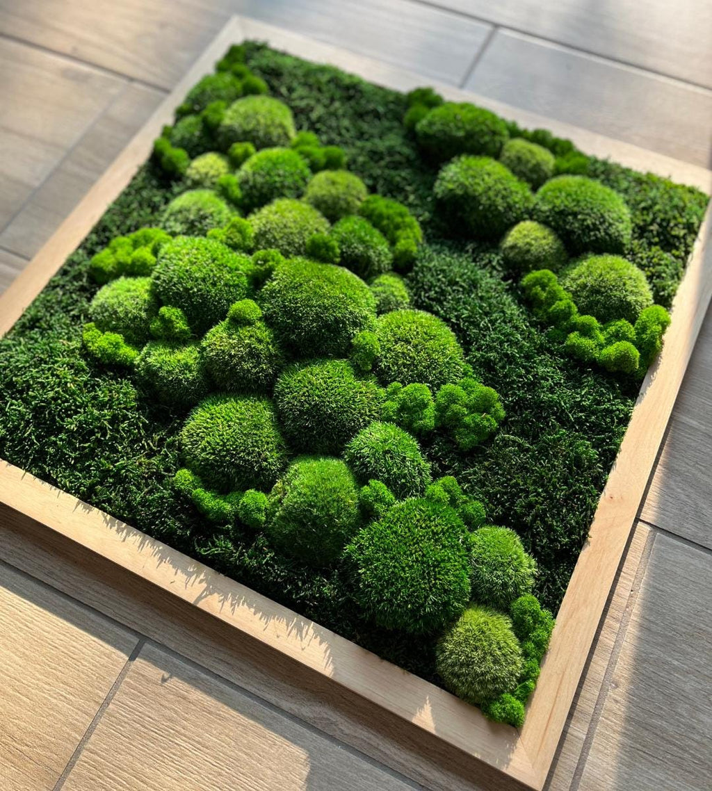 Preserved Moss Wall Art: Handmade Rustic Greenery Decor (50x50cm)