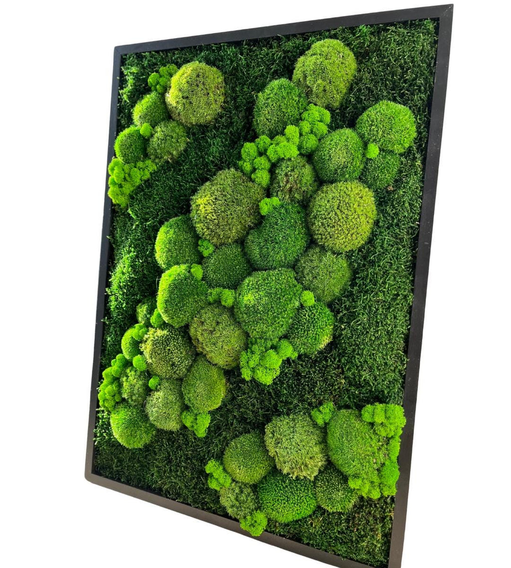 Preserved Moss Wall Art: Handmade Rustic Greenery Decor (50x70cm)
