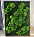 Preserved Moss Wall Art: Handmade Rustic Greenery Decor (50x70cm)