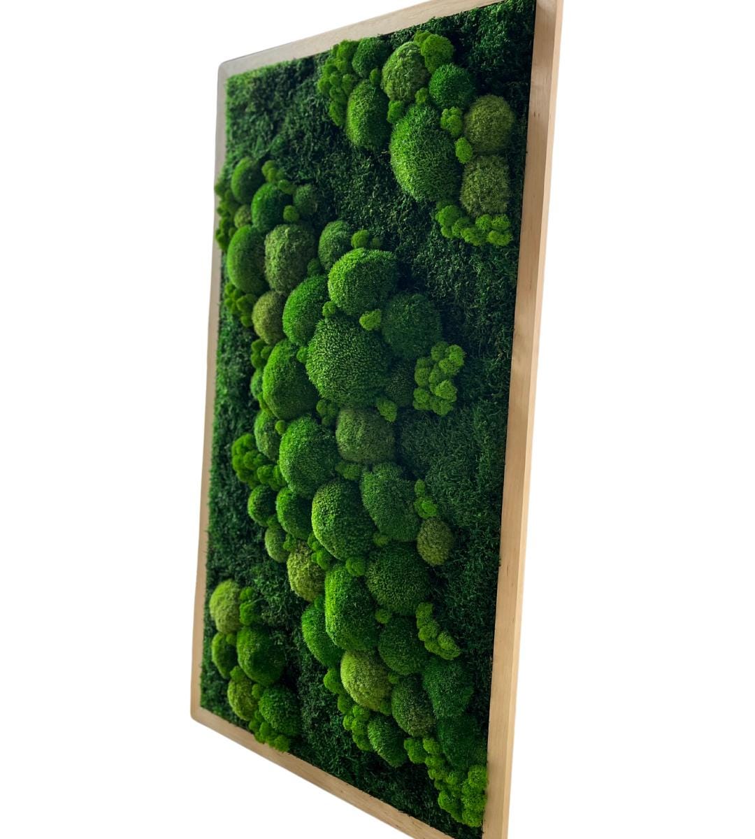 Preserved Moss Wall Art: Handmade Rustic Greenery Decor (55x100cm)