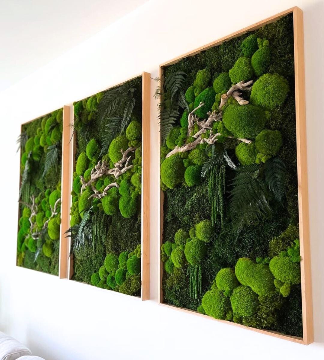 Preserved Moss Wall Art: Handmade Rustic Greenery Decor (60x100cm) Set of 3 pcs