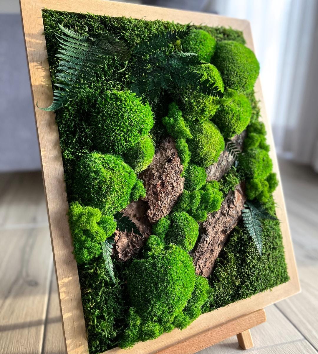 Preserved Moss Wall Art: Handmade Rustic Greenery Decor (40x50cm)