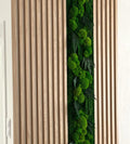 Preserved Moss Wall Art: Handmade Rustic Greenery Decor (30x100cm)