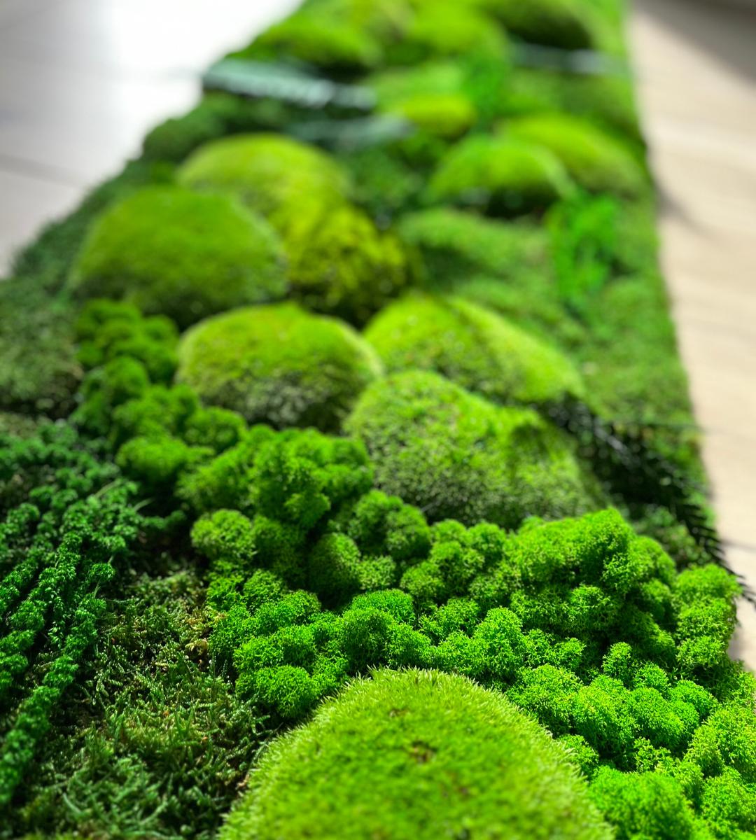 Preserved Moss Wall Art: Handmade Rustic Greenery Decor (30x100cm)