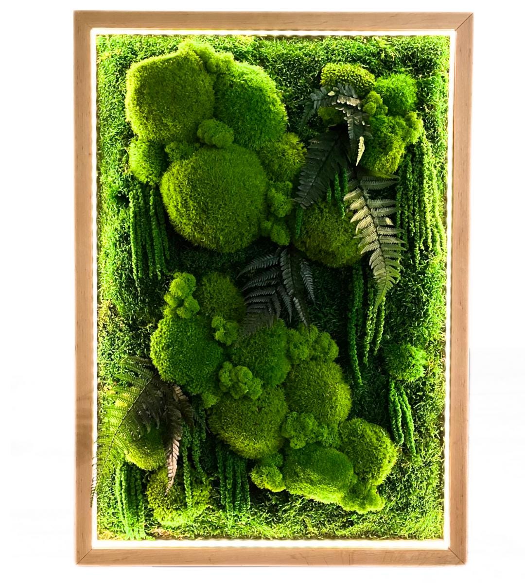 Preserved Moss Wall Art with LED backlight: Handmade Rustic Greenery Decor (50x70cm)