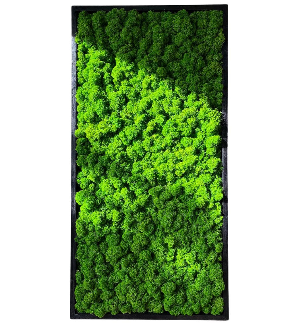 Preserved Painting with lichen Wall Art: Handmade Rustic Greenery Decor (30x80cm)