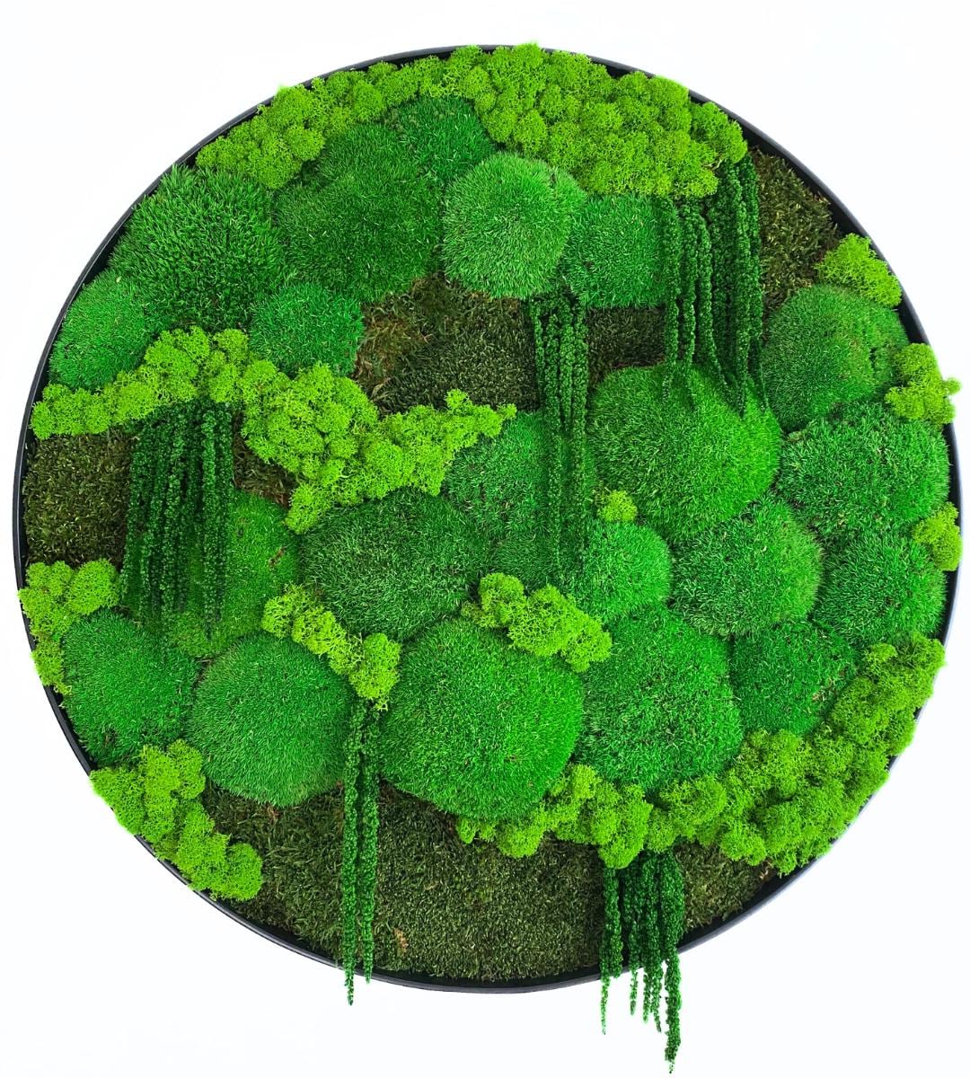 Preserved Moss Wall Art: Handmade Rustic Greenery Decor (60 or 80cm)