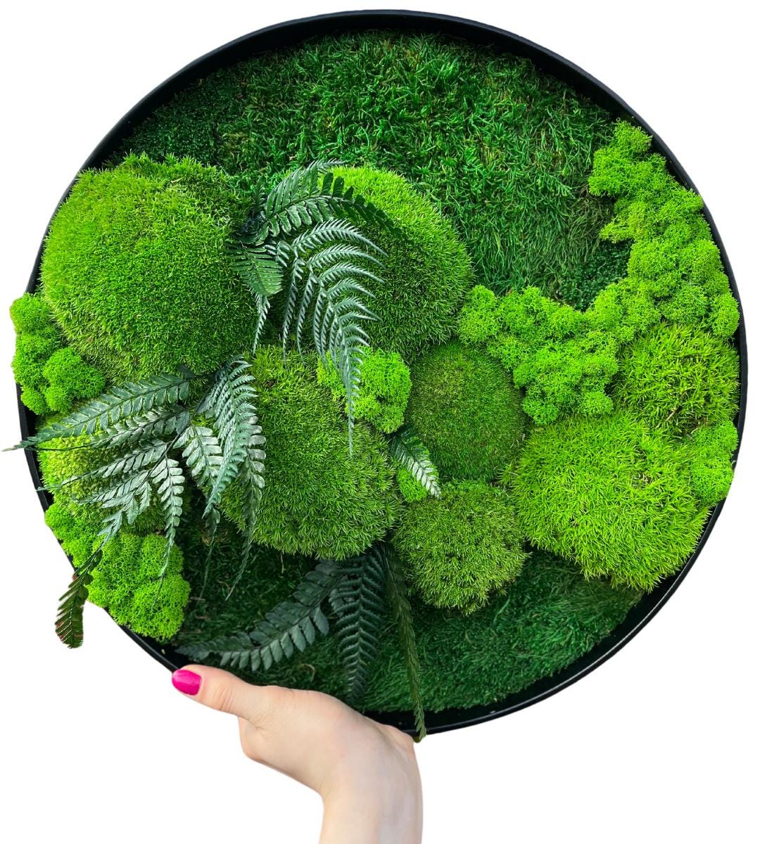 Preserved Moss Wall Art: Handmade Rustic Greenery Decor (30 or 40cm)