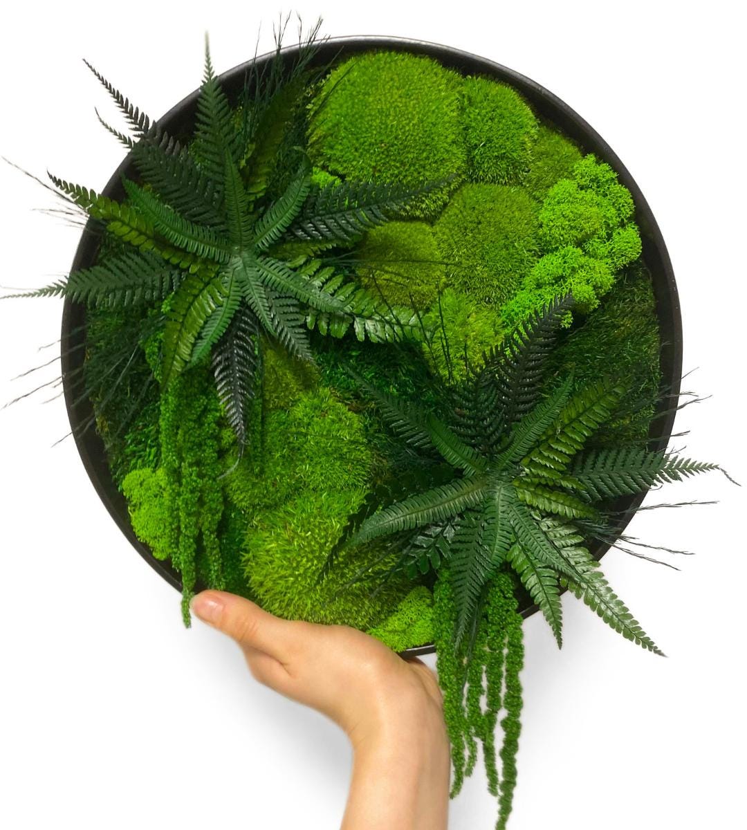 Preserved Moss Wall Art: Handmade Rustic Greenery Decor (30 or 40cm)