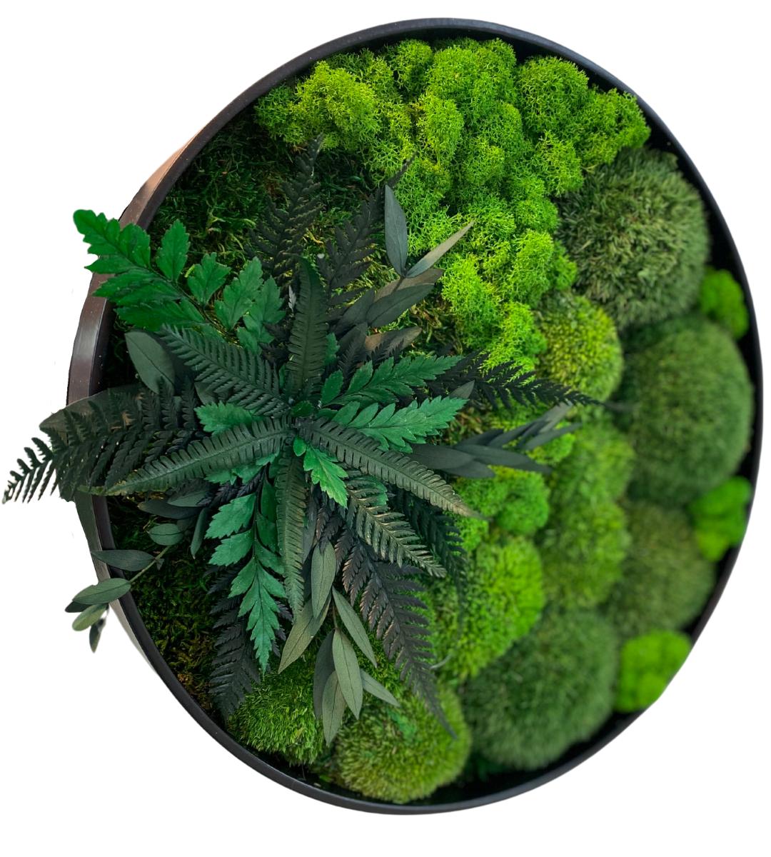 Preserved Moss Wall Art: Handmade Rustic Greenery Decor (30 or 40cm)