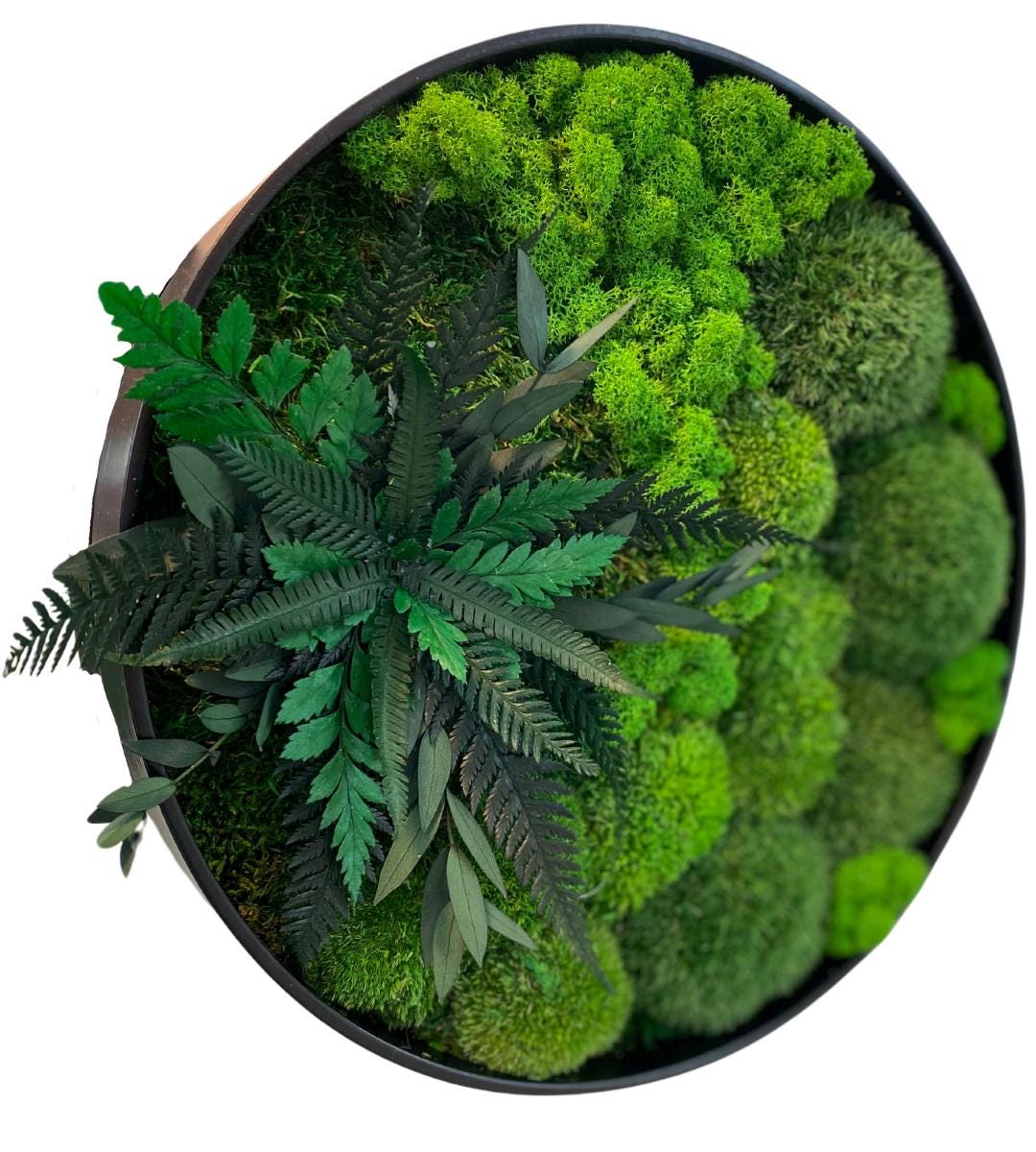 Preserved Moss Wall Art: Handmade Rustic Greenery Decor (30 or 40cm)