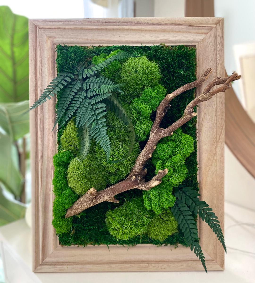 Preserved Moss Wall Art: Handmade Rustic Greenery Decor