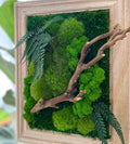 Preserved Moss Wall Art: Handmade Rustic Greenery Decor