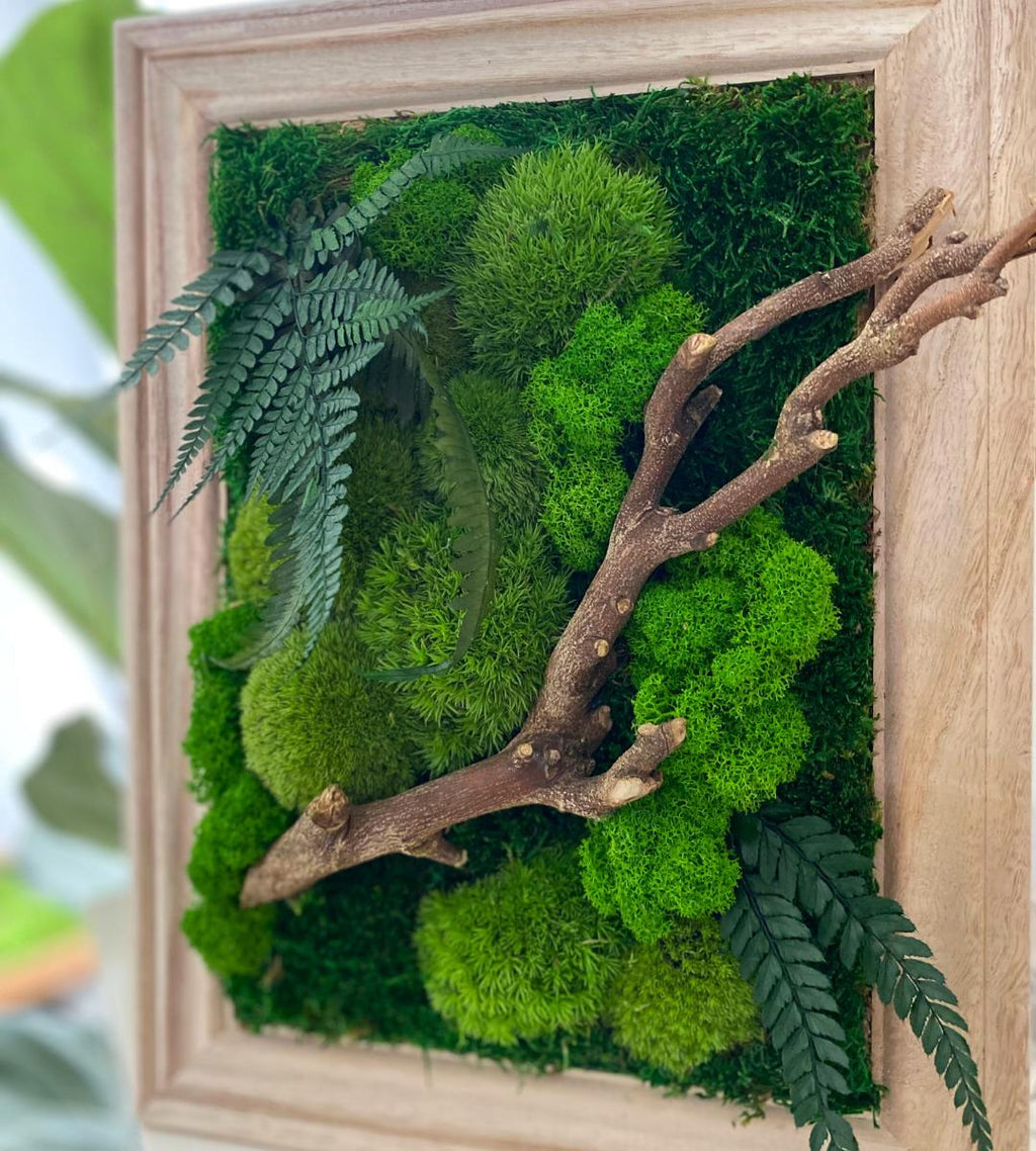 Preserved Moss Wall Art: Handmade Rustic Greenery Decor
