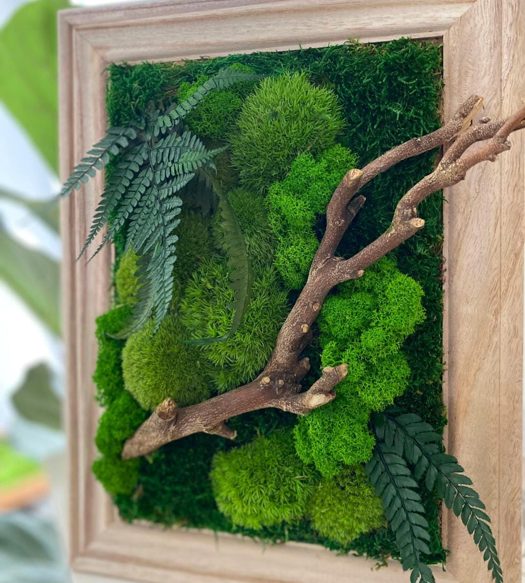 Preserved Moss Wall Art: Handmade Rustic Greenery Decor