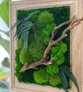 Preserved Moss Wall Art: Handmade Rustic Greenery Decor