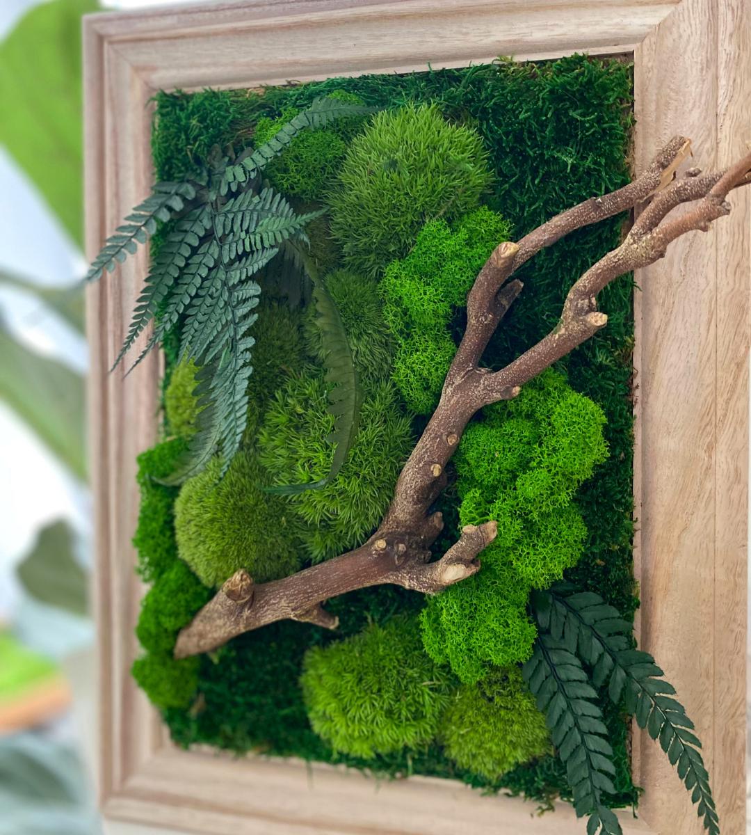 Preserved Moss Wall Art: Handmade Rustic Greenery Decor