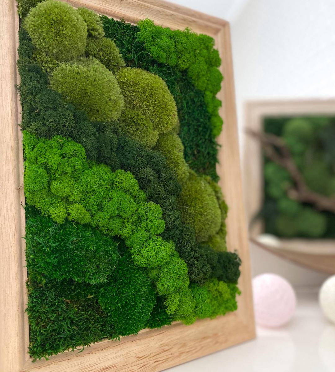Preserved Moss Wall Art: Handmade Rustic Greenery Decor