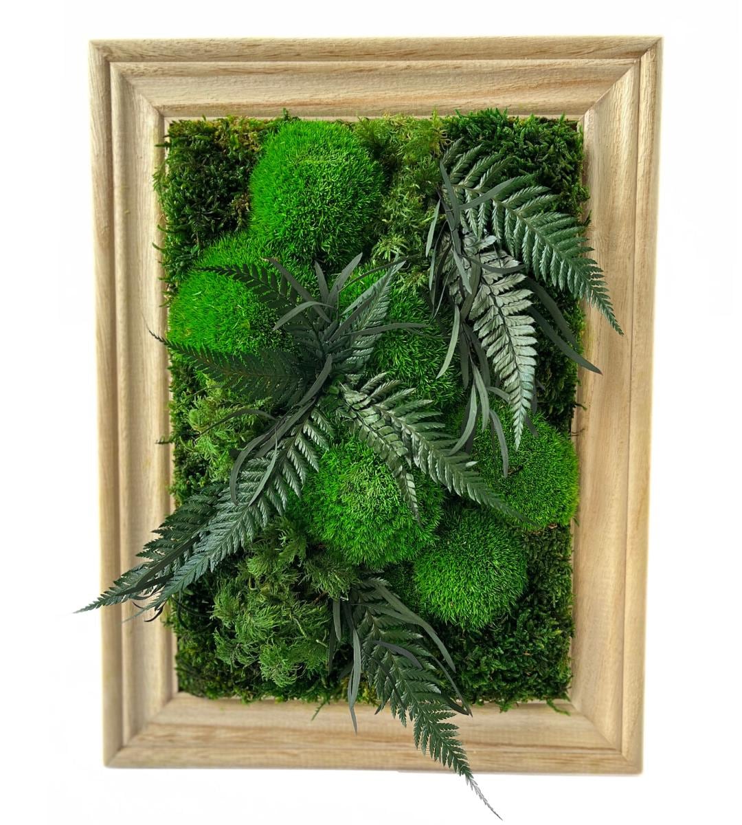 Preserved Moss Wall Art: Handmade Rustic Greenery Decor